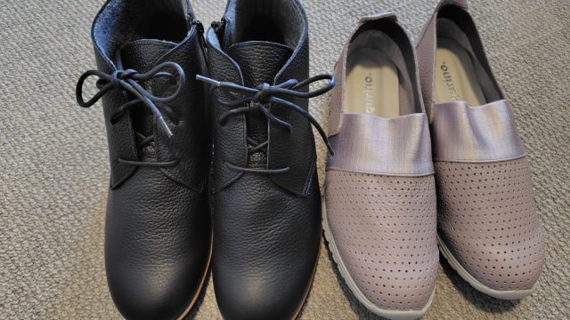 アイキャッチ画像：フィグリーノ2025